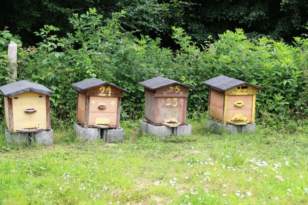 Kantonia Bobolice  Exteriér fotografie
